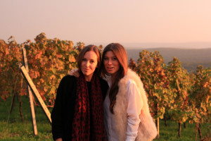  photo Falkensteiner-Stegersbach-Weinberge_zps4b3b9a52.jpg