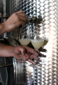  photo Stegersbach-Falkensteiner-Weingut-Jalits_zps246337ff.jpg