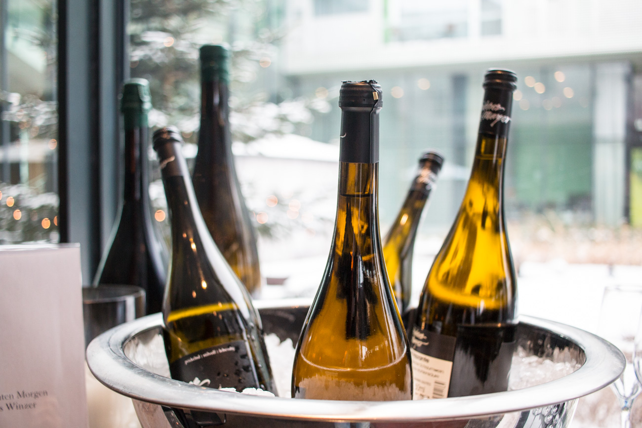 Hotel Review: Loisium Wine & Spa Hotel, Langenlois