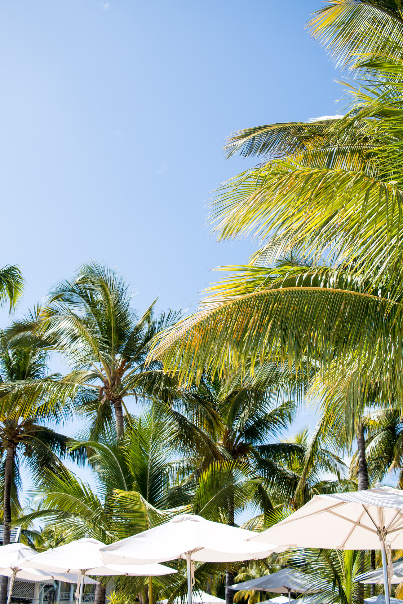 Mauritius-Heritage-Resorts-11