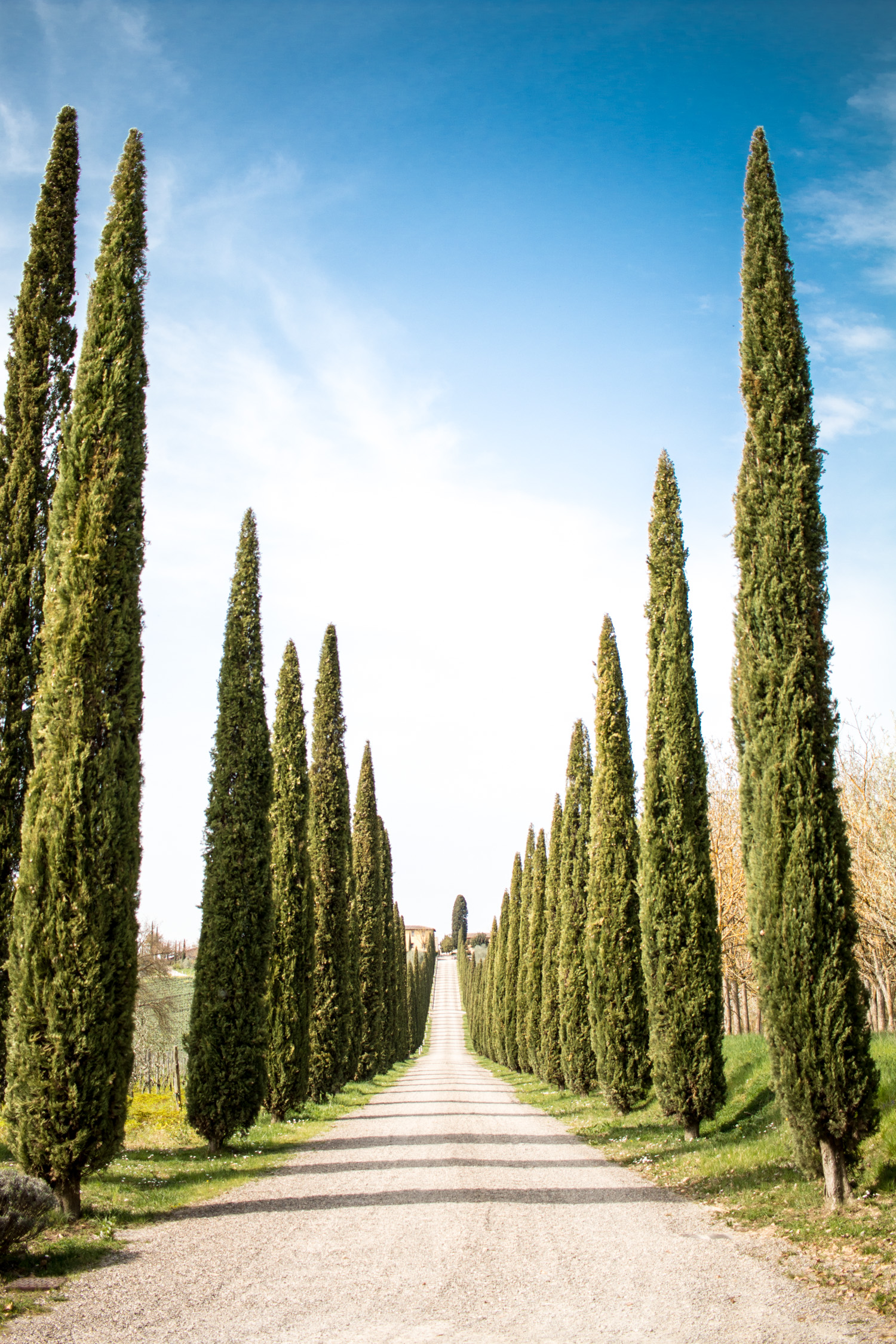 The-Barn-Bagnaie-Siena-Day-2-54