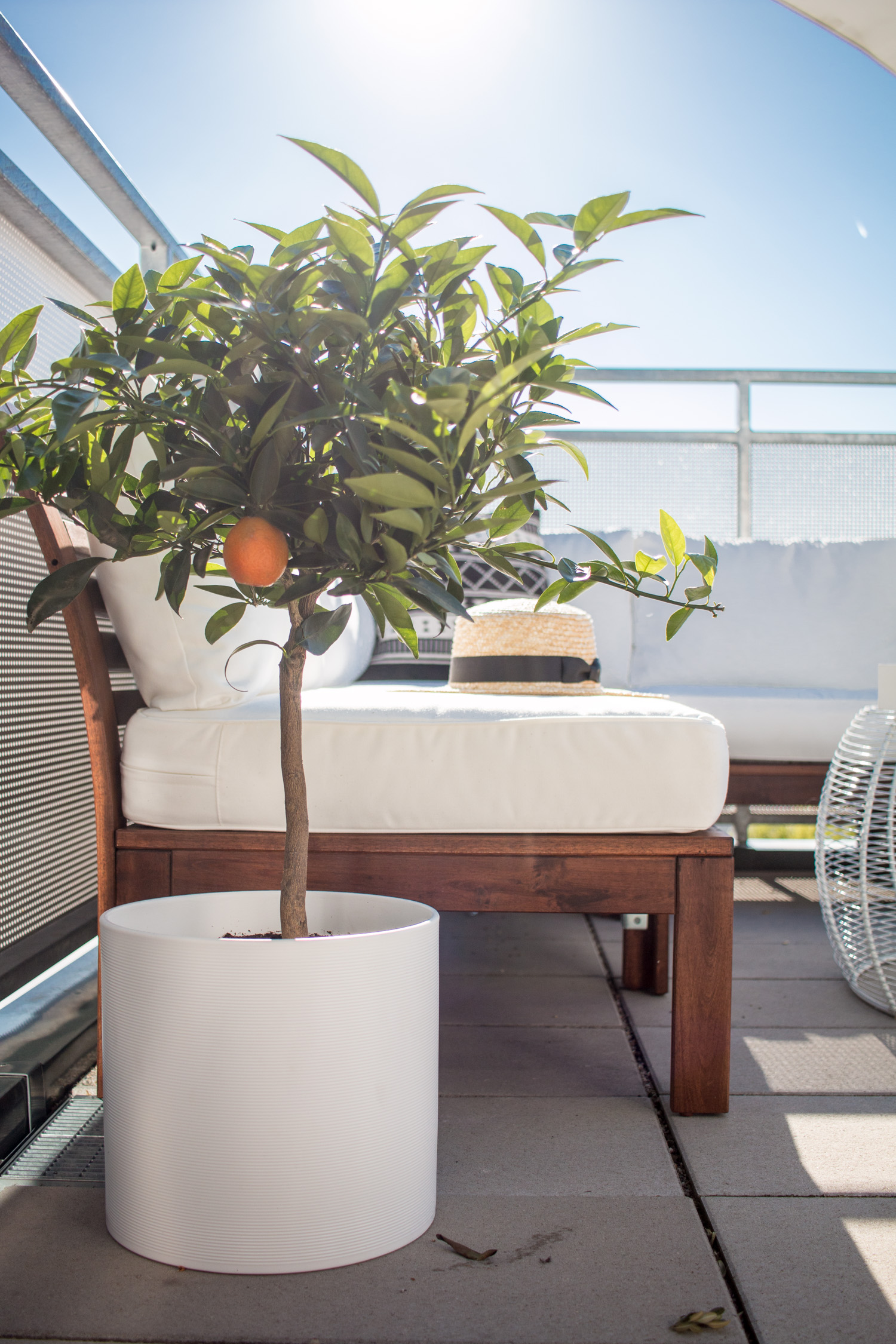 Rooftop-Update-5