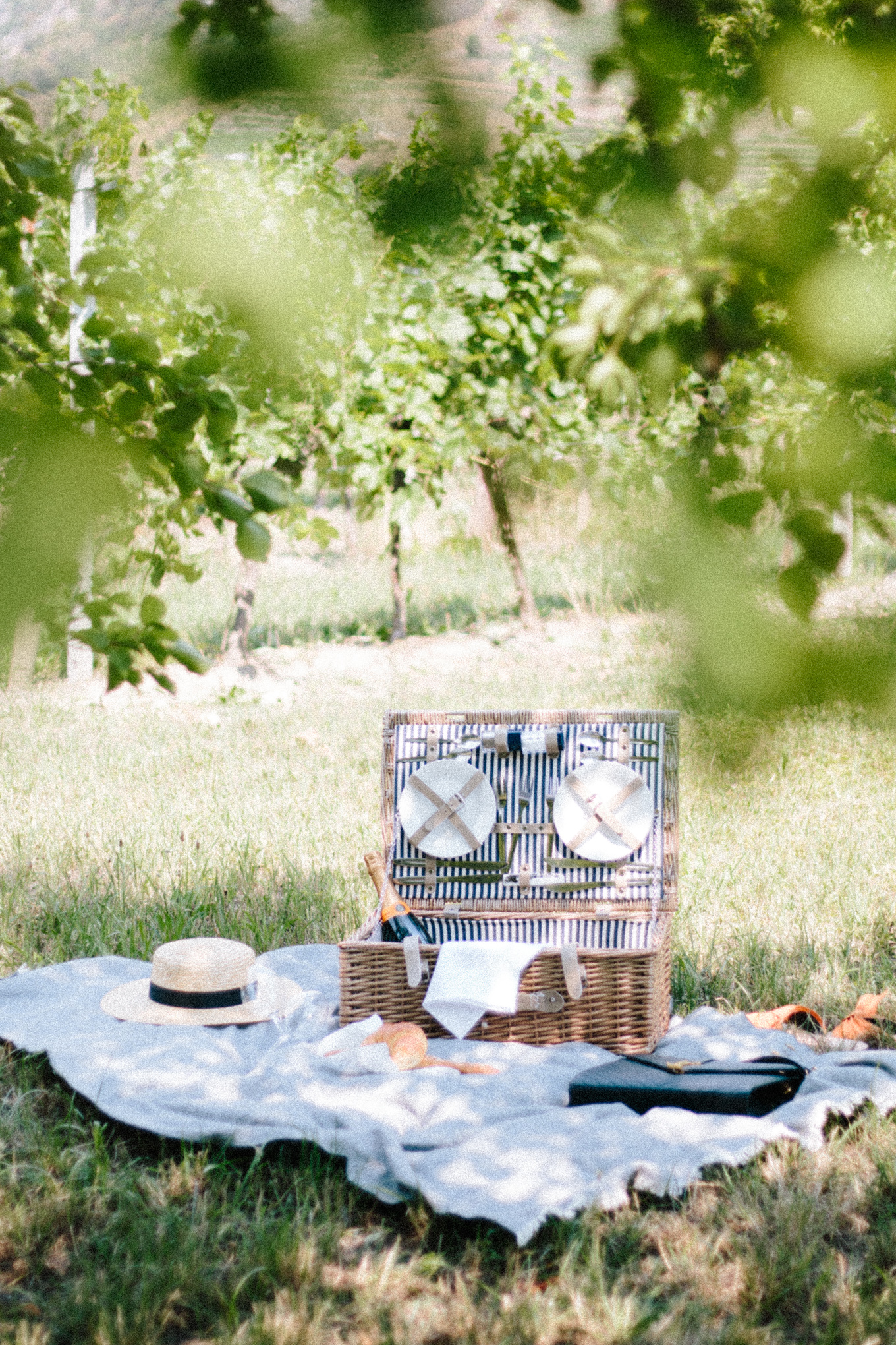 Veuve Clicquot Picknick Wachau 