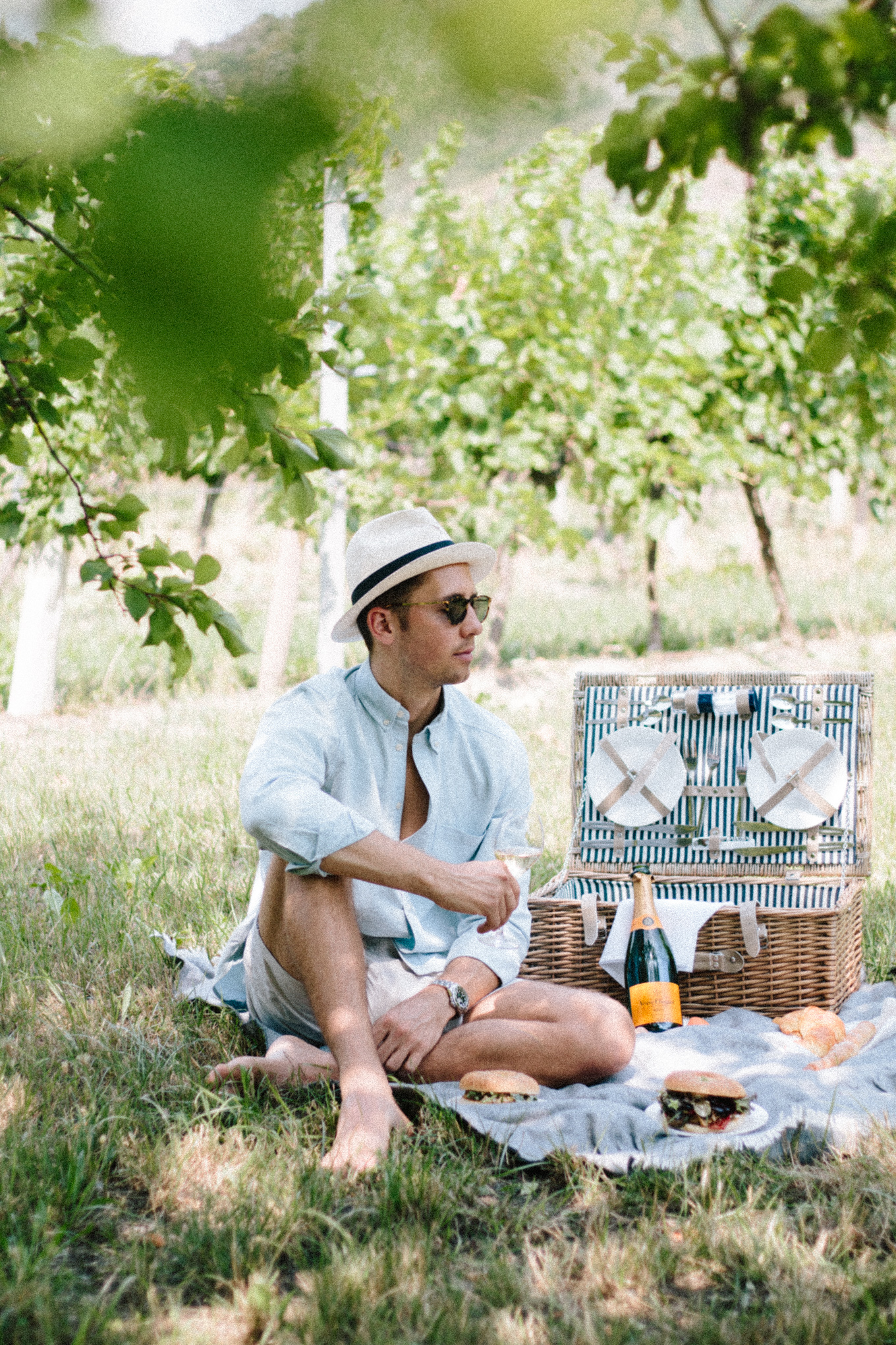 Veuve Clicquot Picknick Wachau 