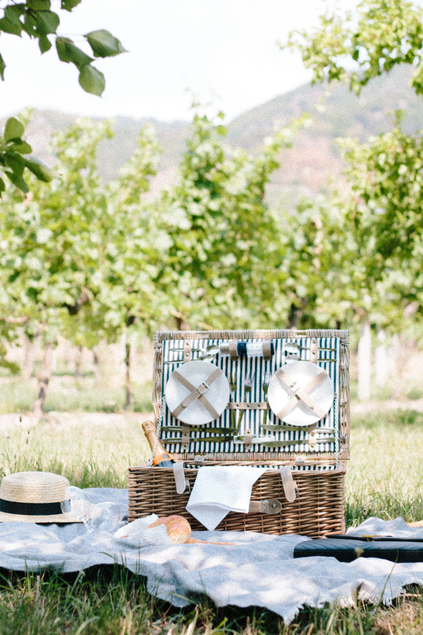 Veuve Clicquot Picknick Wachau 
