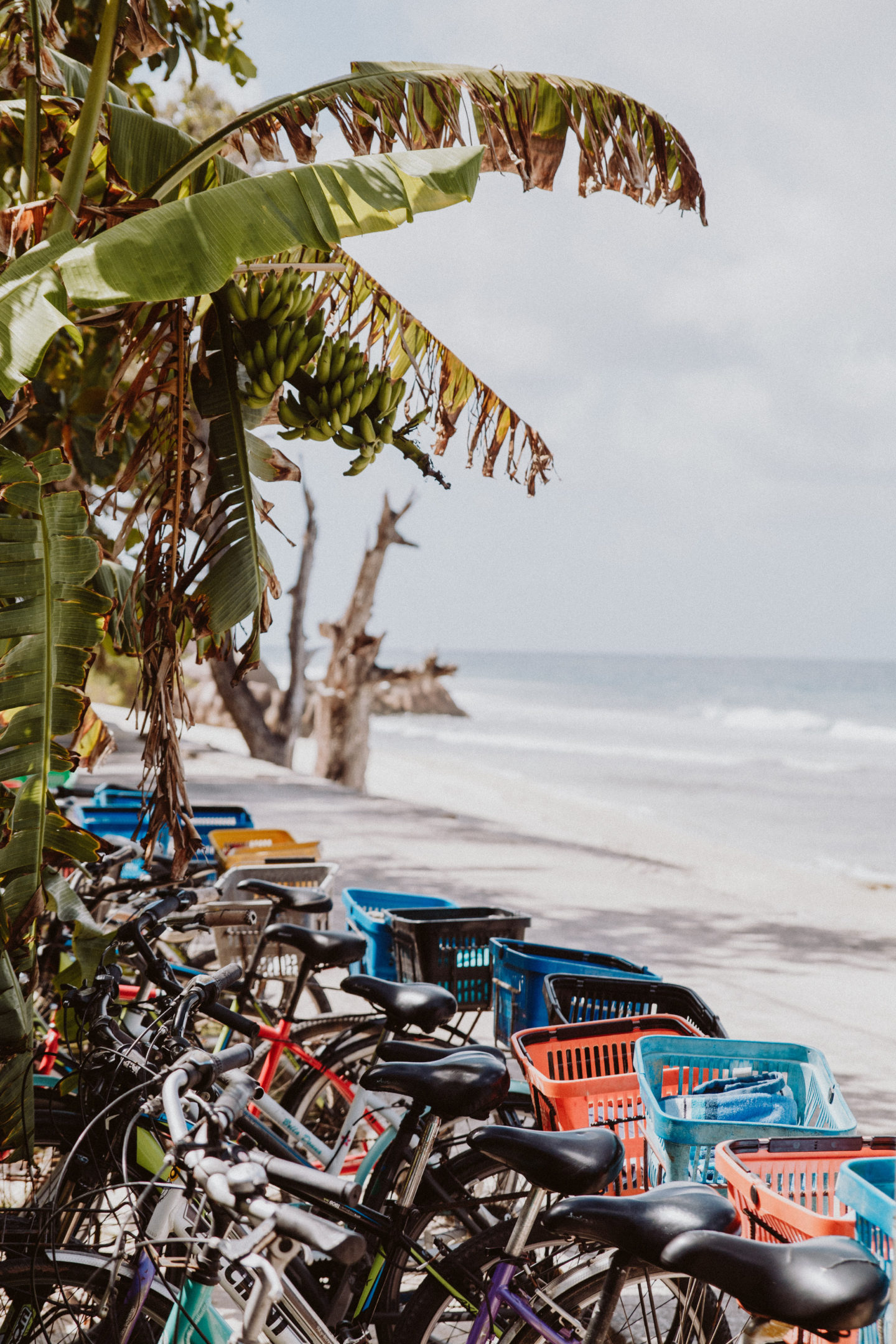 La Digue | Seychelles