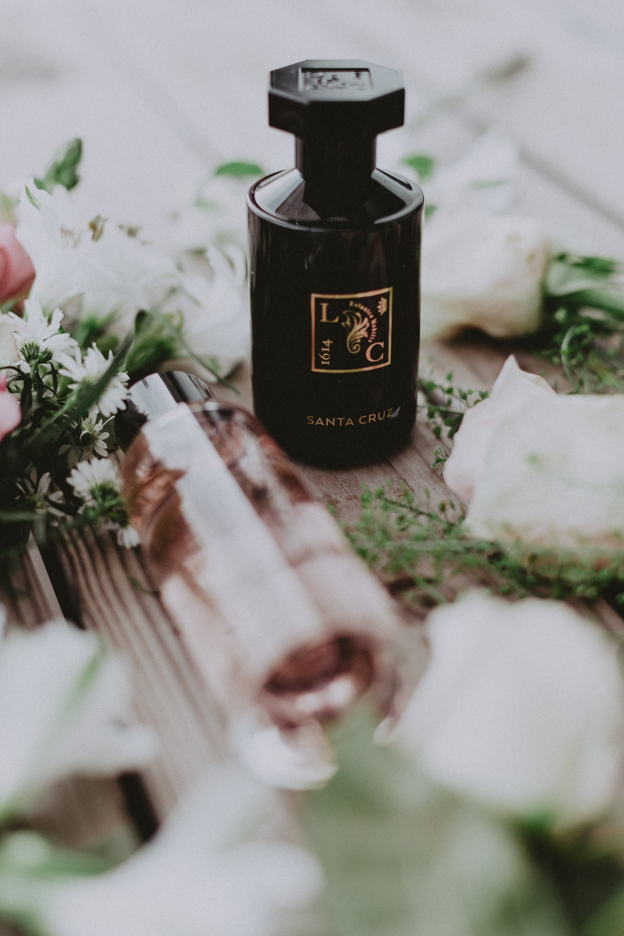 Le Couvent des Minimes | Ketchem Bunnies