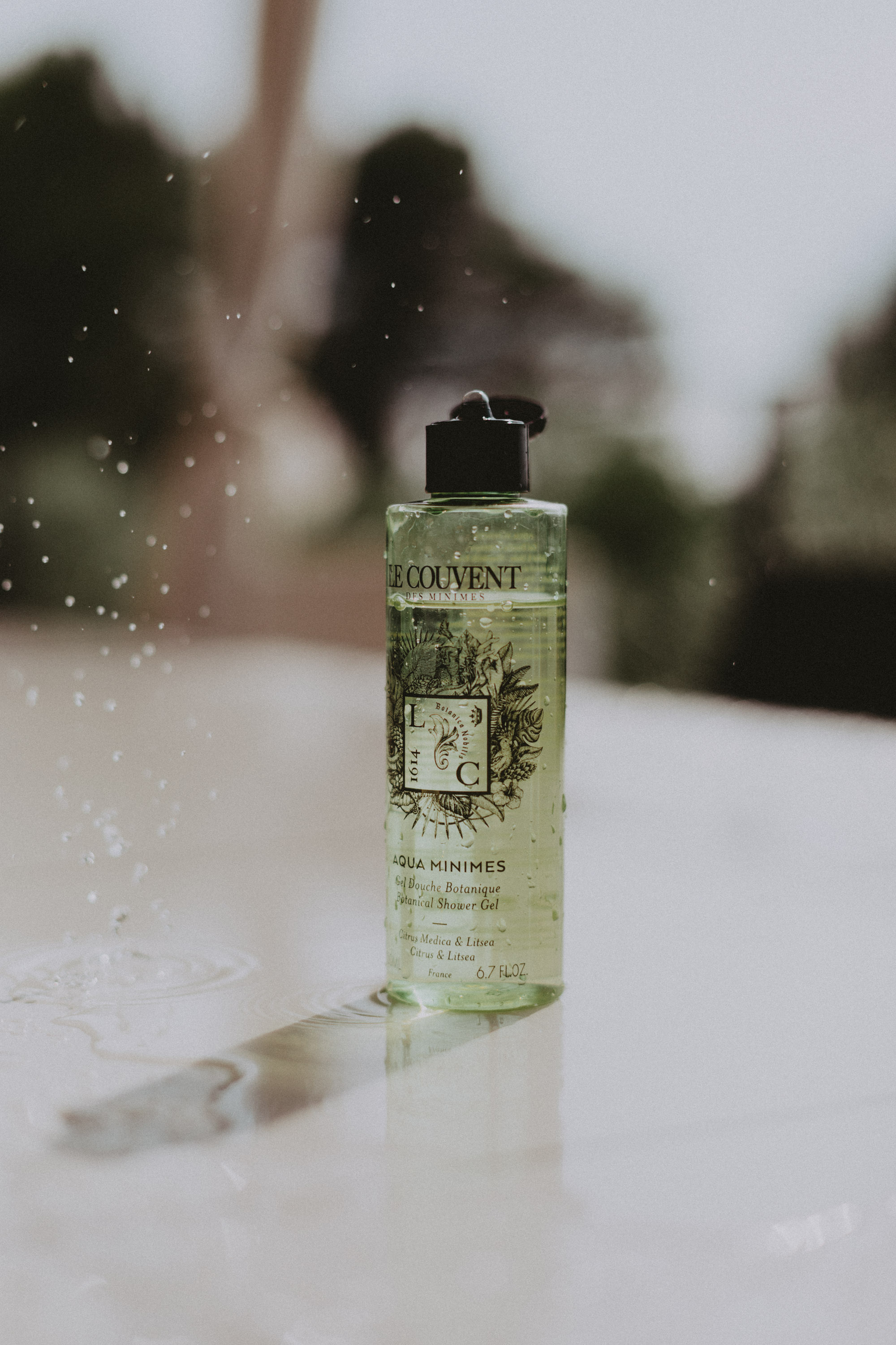 Le Couvent des Minimes | Ketchem Bunnies